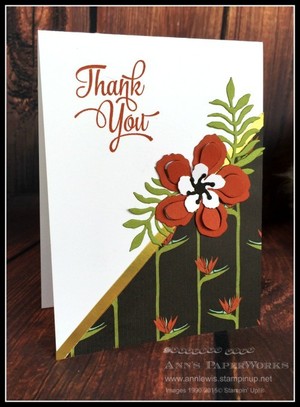 Independent Stampin' Up! Demonstrator t/a Ann's PaperWorks Pic 3