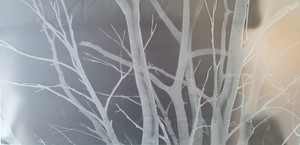 Aurora Glass Sandblasting Pic 5 - sandblasted tree branch design on satin etch glass