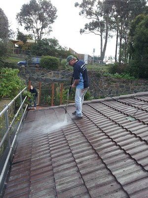 MINOR Roof Repairs Pic 3 - A clean roof is a healthy roof and a low cost roof