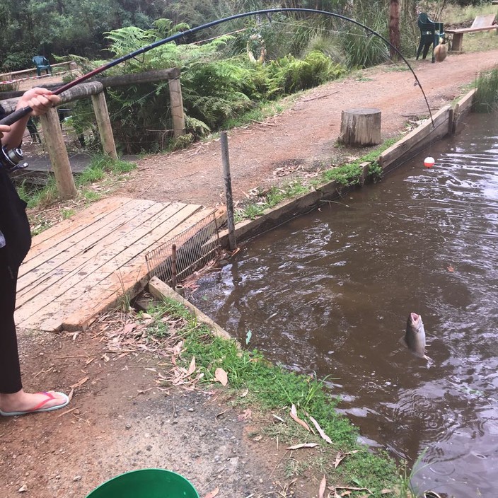 Marysville Trout & Salmon Ponds Pic 1