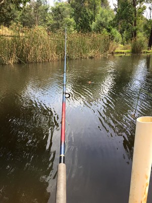 Marysville Trout & Salmon Ponds Pic 2