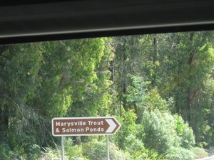 Marysville Trout & Salmon Ponds Pic 3