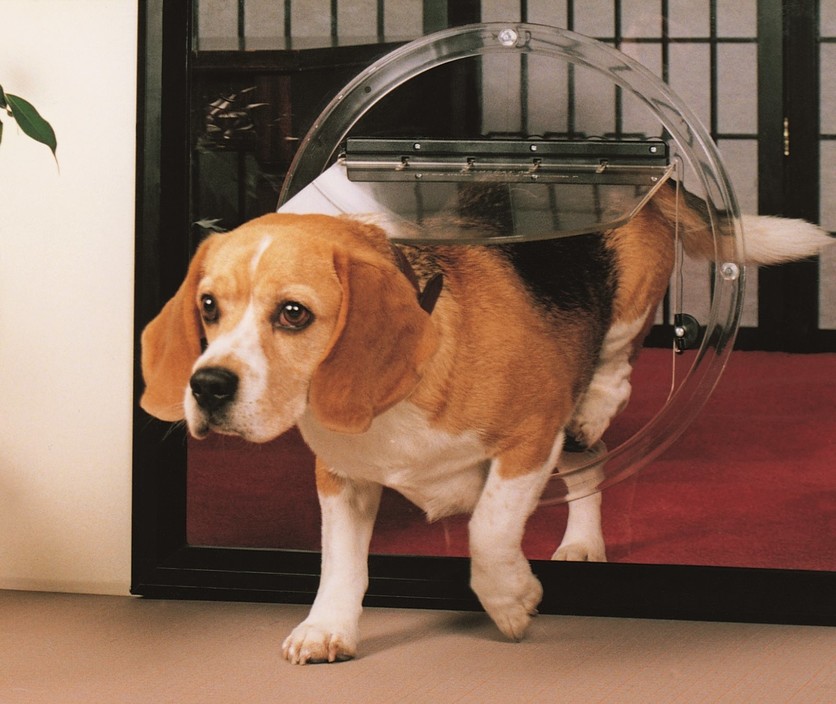 Whitley Glass Pic 1 - Give your pet the freedom to explore with our pet doors Call or leave your details and we will contact you for a measure quote