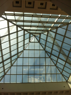 CPM PARLIAMENTARY REPORTING STAFF Pic 4 - Looking up to the flagpole