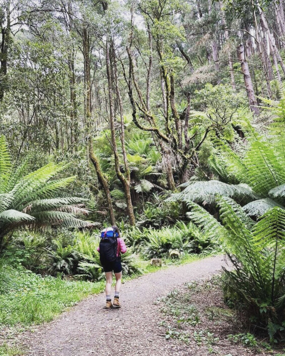 life coach jilly Pic 1 - Life coach Melbourne coaching sessions available via zoom in person outdoors in nature