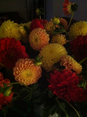 Seed Flora Pic 4 - You can get some amazing nontraditional flowers from this boutique floris