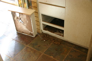 High Tech Pest Control Pic 4 - Termite destruction of kitchen cupboards