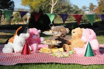 Party Bears and Buddies Pic 1