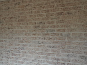 Shades & Tones Pty. Ltd. Pic 4 - Brick feature