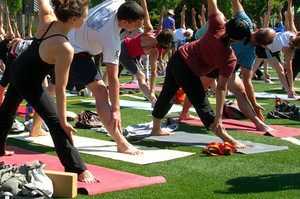 Noosa Beach Yoga Pic 2