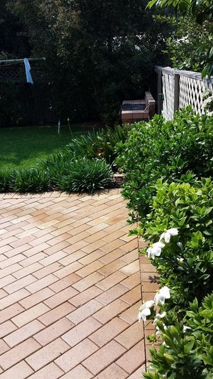 Brimbank Mowing & Gardening Pic 3 - garden maintenance