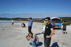 Busy Blue Bus Pic 4 - Busy Blue Bus at the beach with backpackers Albany