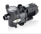 Pool Equipment Installations Pic 2 - Zodiac Flopro Pool Pump 48000