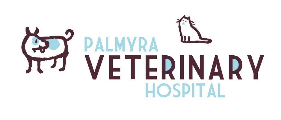 Palmyra Veterinary Hospital Pic 1