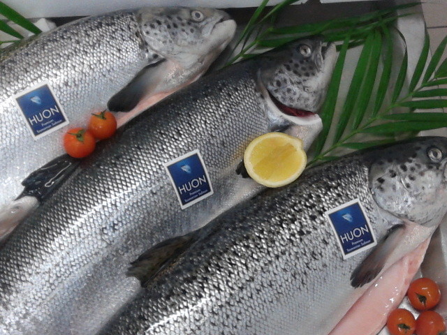 Ocean Fresh Seafoods Pic 1 - Premium Huon Salmon