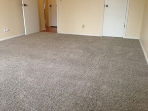 Carpet Cleaning Wanniassa Pic 3