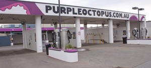 Purple Octopus Multiwash Pic 2