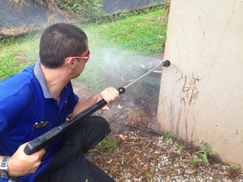 James' Window & Exterior Cleaning Pic 1 - Your house will look fabulous