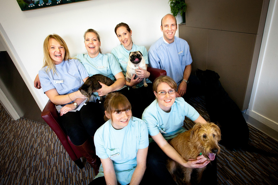 Carlton Veterinary Clinic Pic 1 - Carlton Veterinary Team