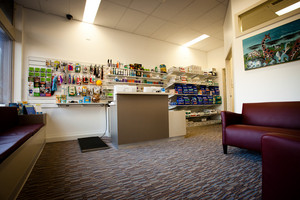 Carlton Veterinary Clinic Pic 3 - Recommended food and treats for your pets