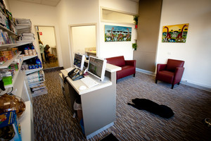 Carlton Veterinary Clinic Pic 2 - Welcome to our clinic