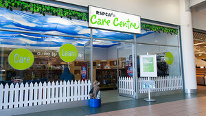 The Homemakers Supa Centa and Super Factory Outlet Pic 3 - Great RSPCA care Centre with cafe