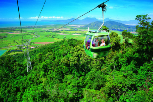 Skyrail Rainforest Cableway Pic 1