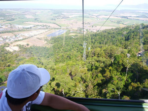 Skyrail Rainforest Cableway Pic 3 - Going back down