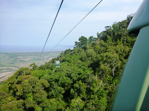 Skyrail Rainforest Cableway Pic 5 - Going down