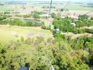 Skyrail Rainforest Cableway Pic 2 - The bottom is near