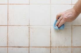 Professional Tile and Grout Cleaning Adelaide Pic 2