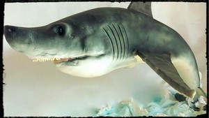 Sweet Things Pic 2 - 3D Shark Cake Chocolate Mud