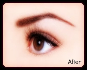 Session Perfection Hair Beauty Make-up Pic 4 - Eyelash Eyebrow Treatments