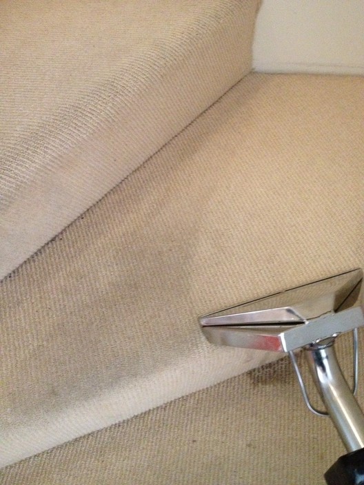 Canberra Carpet & Tile Cleaning Pic 1