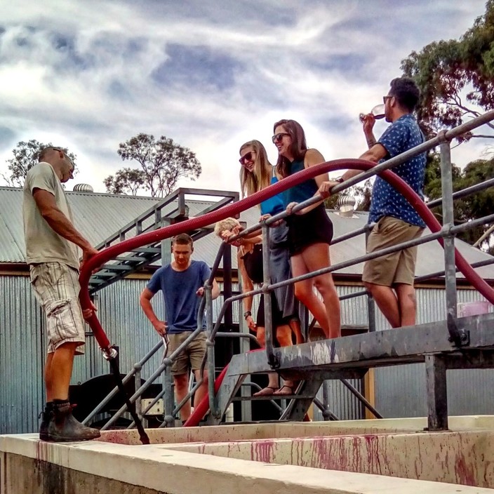 Small Batch Wine Tours Pic 1 - Seeing the winemaking process