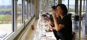 Small Batch Wine Tours Pic 3 - Food and wine matched flight