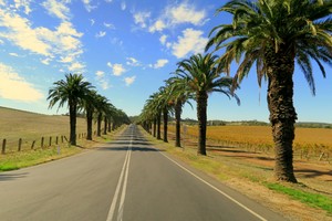 Small Batch Wine Tours Pic 2 - Gorgeous countryside