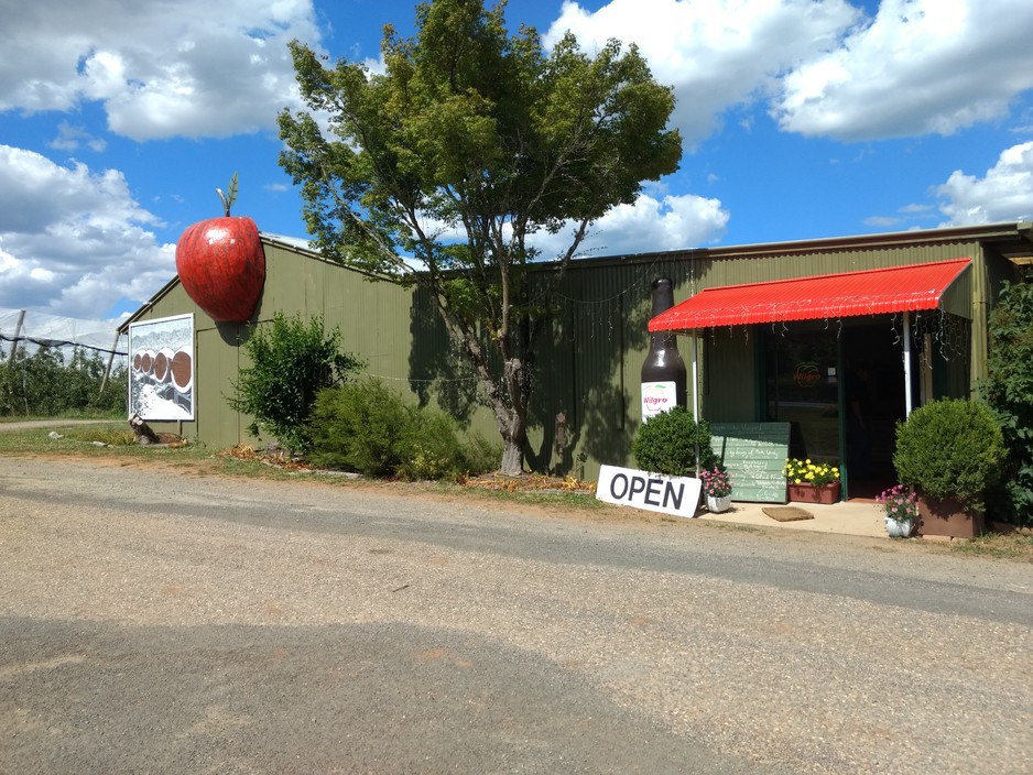 The Apple Thief - Orchards Pic 2