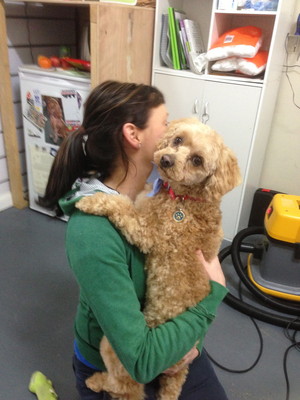 Paws 4 Applause Dog Grooming Pic 2 - Cuddles from groomer