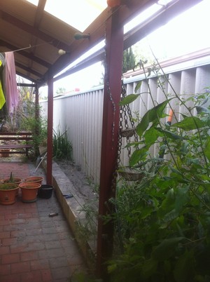 Neighbourhood Fencing Pic 4