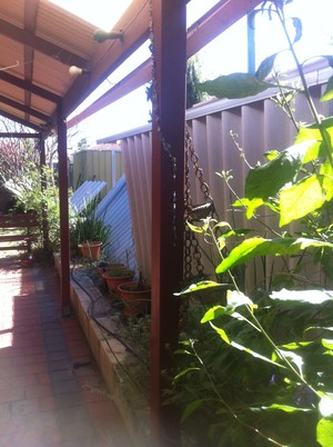 Neighbourhood Fencing Pic 3