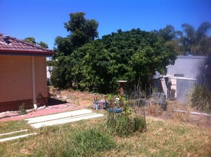 Neighbourhood Fencing Pic 5