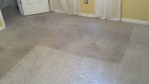 Carpet Cleaning Katoomba Pic 3