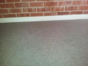 ZIG ZAG CARPET CLEANING Pic 5 - BLOOD REMOVAL FROM CARPET