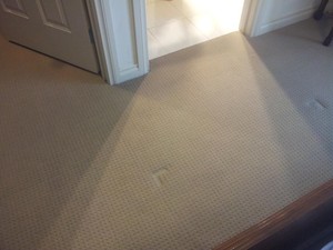 ZIG ZAG CARPET CLEANING Pic 3 - CARPET STEAM CLEANING