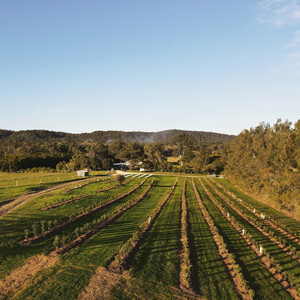 Freshwater Farm Australia Pic 3