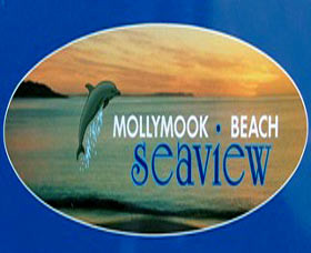 A Mollymook Beach Seaview Pic 1 - A Mollymook Beach Seaview