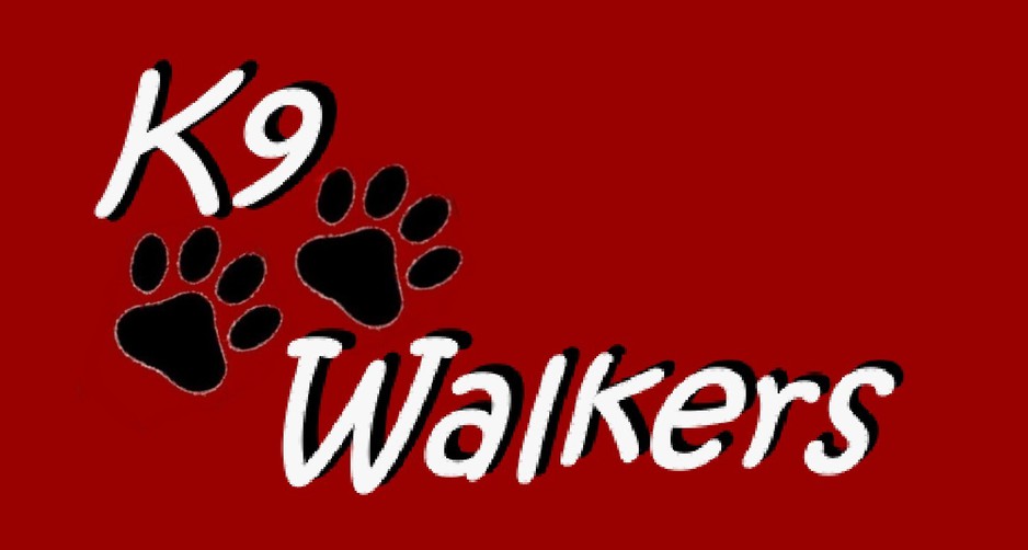 K9 Walkers in Ourimbah, NSW, Dog Walkers TrueLocal