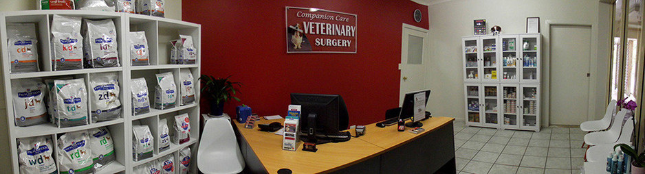 Companion Care Veterinary Surgery - Ormeau Pic 1