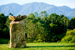 Australian College of Eastern Medicine Pic 4 - A little patch of subtropical paradise with vast mountain views